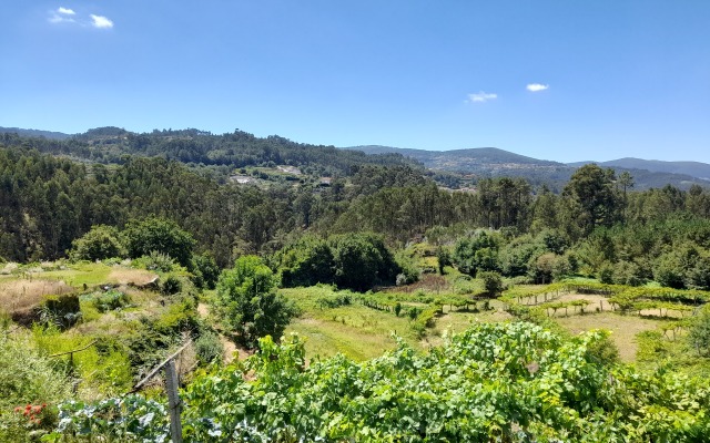 Апартаменты The VALLEY