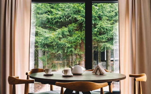 Neshalashi Lesnoy hotel Hotel
