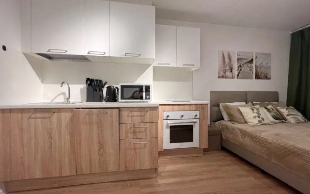Nevabed Na Gudilovskoy 9 Apartments