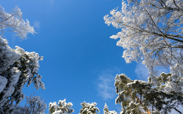 Частный Дом RentalSPb на Петровском Озере Ж/Д Петяярви