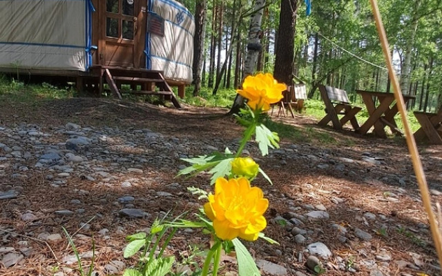 Кэмпинг Золотая юрта