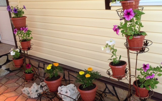 Na Kurortnoy Guest House