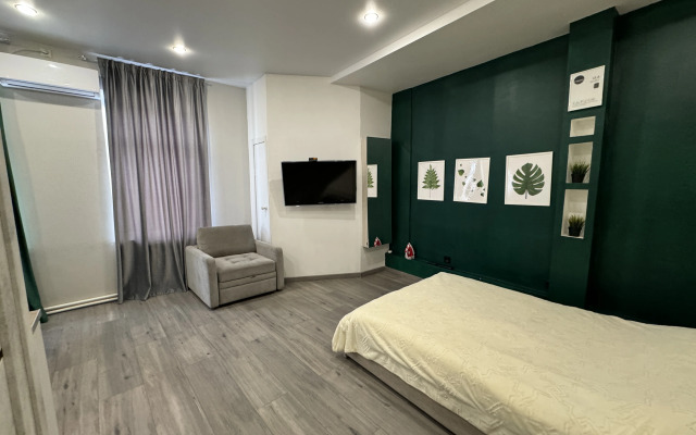 Studiya v tsentre goroda Flat