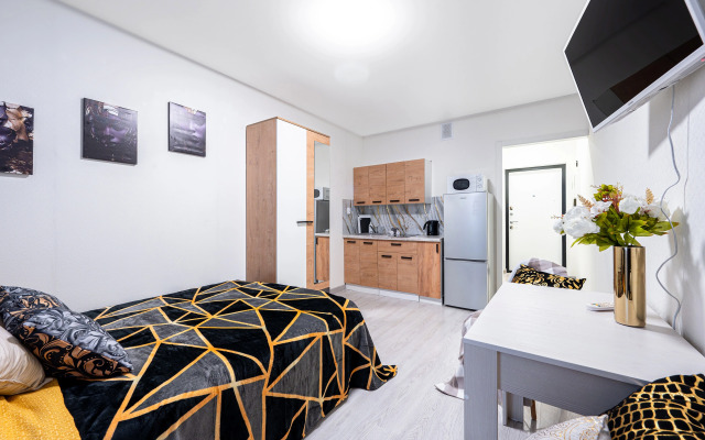 Uyutnaya Studiya Ryadom S. M. Devyatkino Apartments