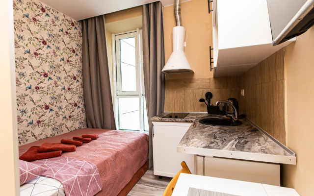 Апартаменты Уютная студия у ТЦ Флотилия и ДС Динамо-1