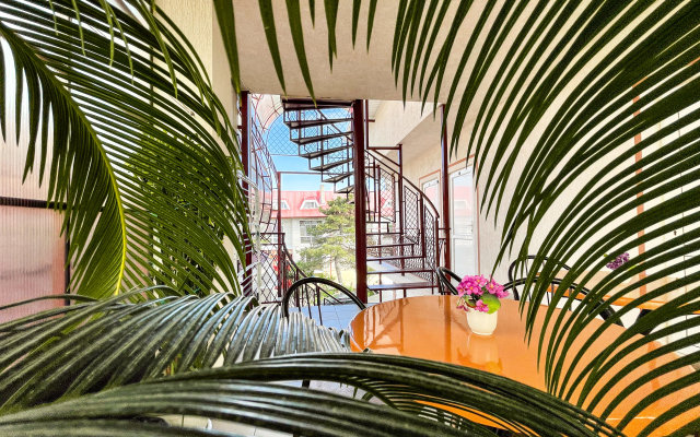 Olga Guest House