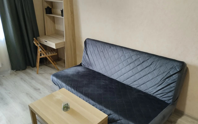 Квартира с Видом на Стадион