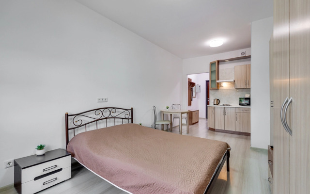 Апартаменты Никольские Стандартная Студия