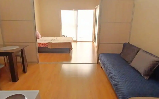 Odnokomnatnaya Kvartira V Tsentre Sochi Flat