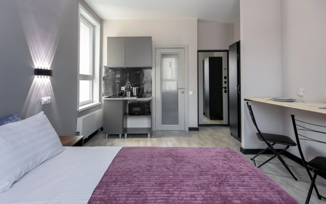 Studiya Na P. Romanova Apartments