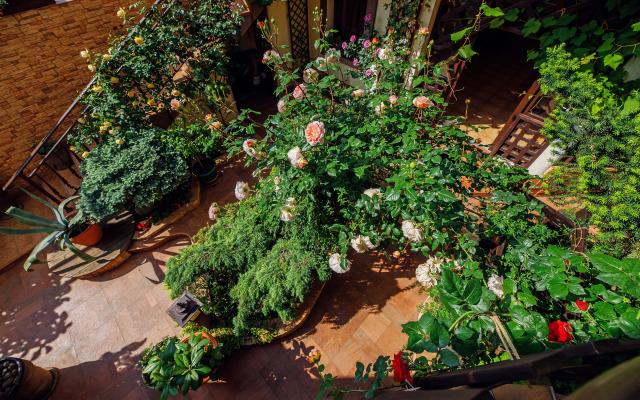 Loris Guest House