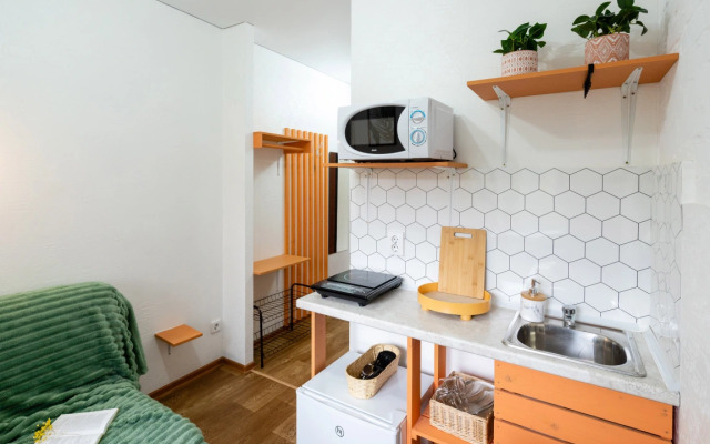 Pushkinskiy Flat 1