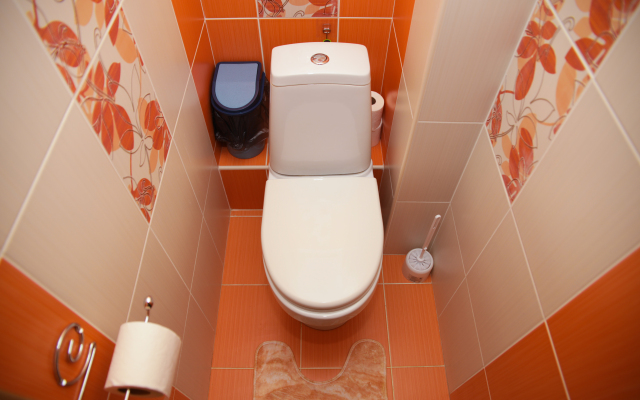Ryzhiy Kot vozle Parka Apartments