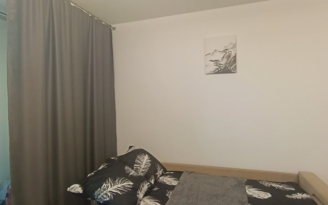 Studiya Pervaya Na Neve V Gorode Pervykh Flat