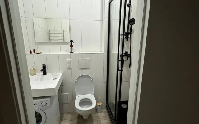 Na Ulitse Kirova 113/2 Apartments