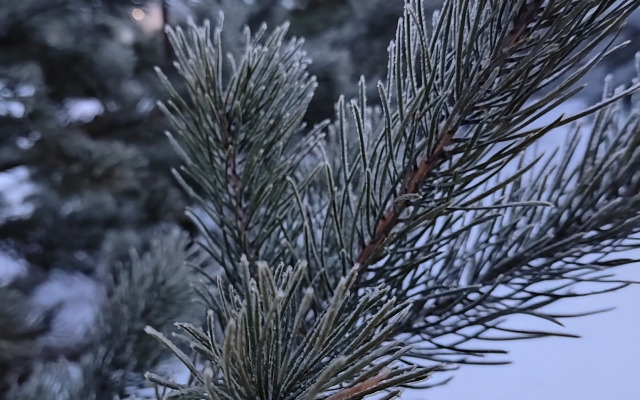 Шале Evropa Dream