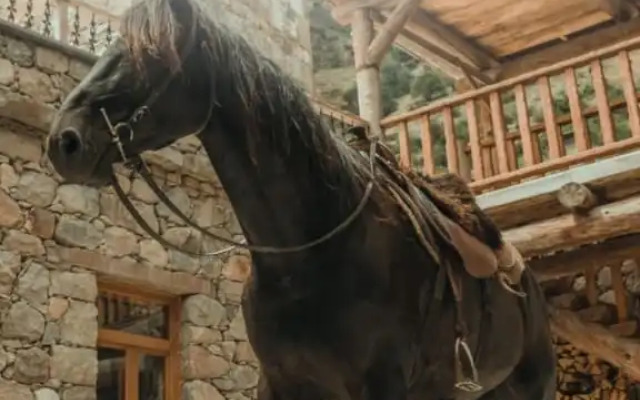 Гостевой дом Жангуразовых