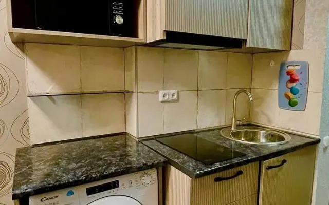 Spokoynoye mesto v tsentre Apartments