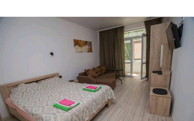 V Samom Tsentre Kaliningrada V Sovremennom Dome Apartments