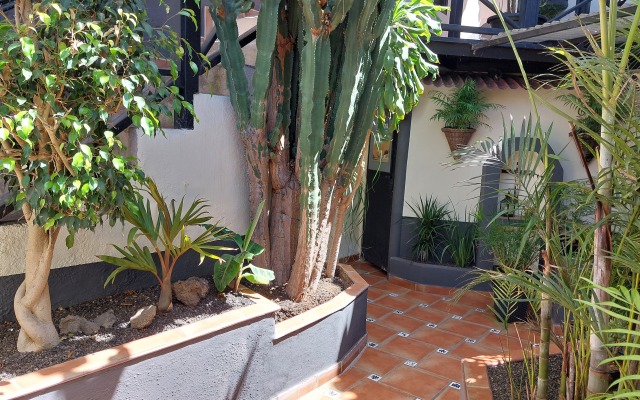 Апартаменты Apartamentos Monasterio de San Antonio Adults Only