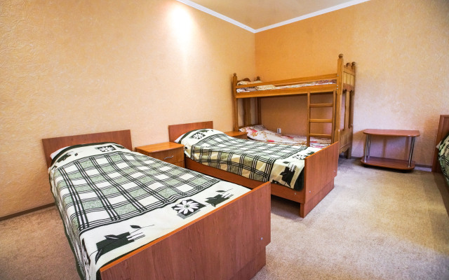 Borviha Mini-Hotel