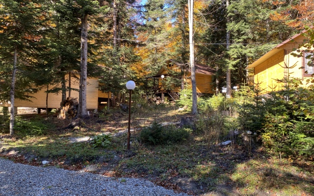 Polyana Zubrov Recreation Camp