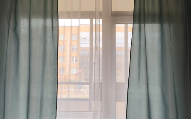 V Petrodvortsovom Rayone Flat