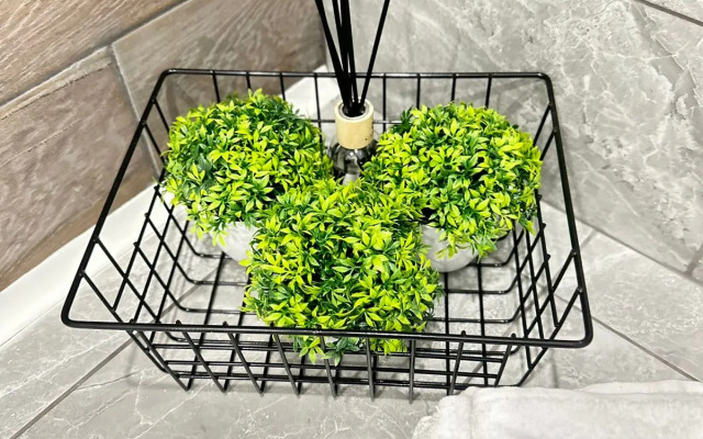 Апартаменты мега 4