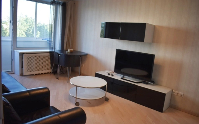 Апартаменты Большая Черкизовская