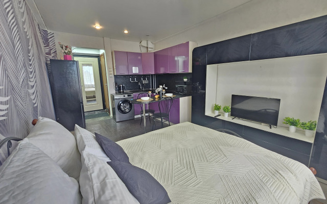 Квартира уютная студия