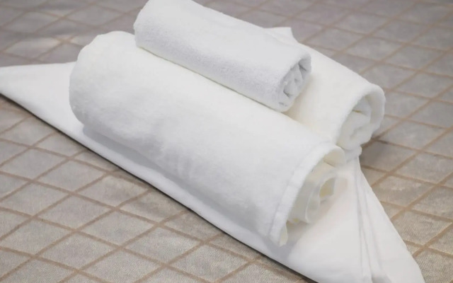 Квартира в центре города Алматы