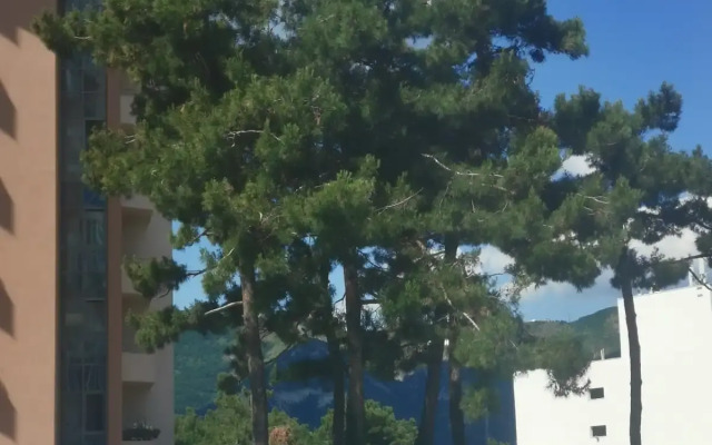 Апартаменты в Геленджике