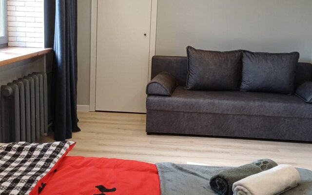Rich House na Chapaeva 23 Flat
