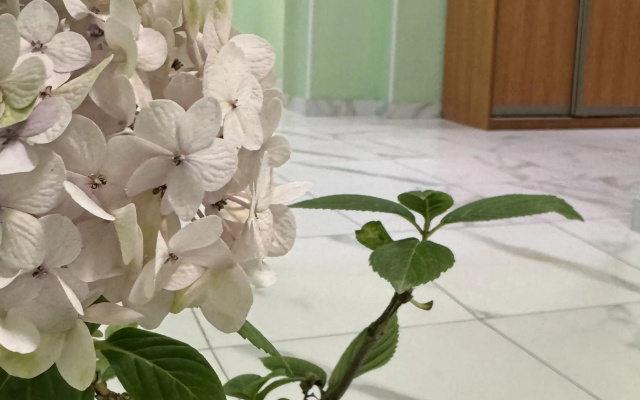 Хостел Спутник