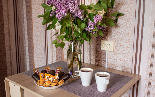 Апартаменты Mini-Dvushka V Tsentre Goroda