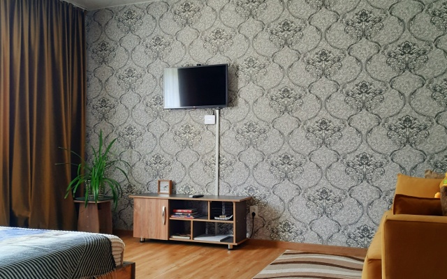 Ryzhiy Kot vozle Parka Apartments