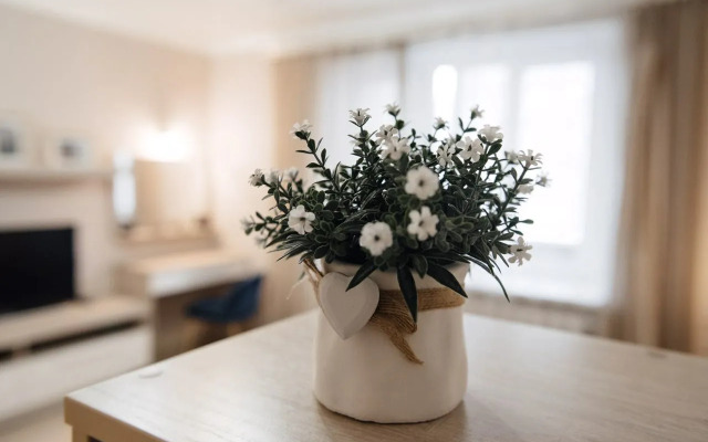 Квартира в центре на проспекте Ленина 88/4