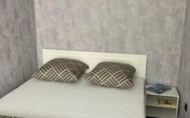 2-Kh Komnatnaya Kvartira V Samom Tsentre,45 M2 Flat