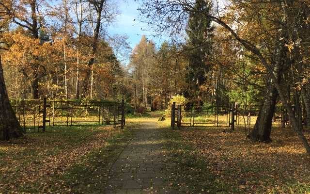 In Forest Apartments