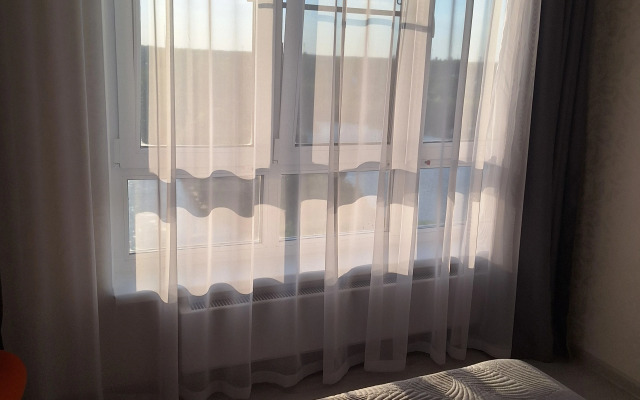 S Krasivym Vidom Na Prudy Flat