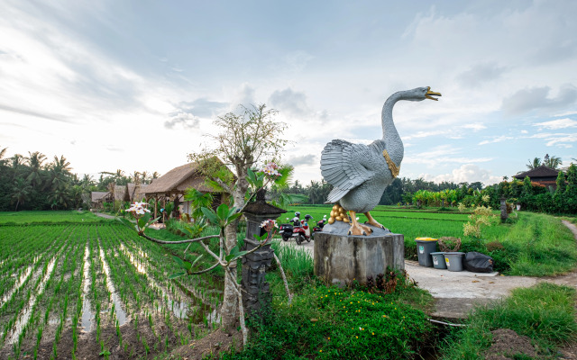 Pondok Mawas Hotel