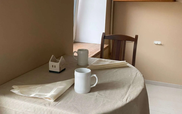 Квартира Просторная в Историческом Центре Петербурга