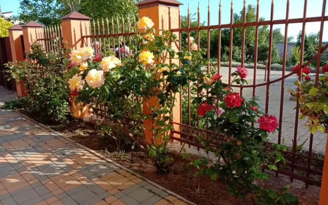 Angelina Guest house