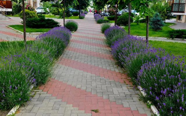 Vidovaya Dizaynerskaya Flat