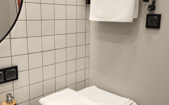 Апартаменты Vasilievsky Loft Studio