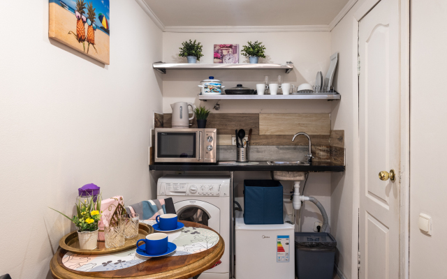 Апартаменты Оружейный Переулок 15А (0101)