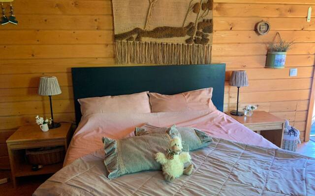 Вилла Ларсон