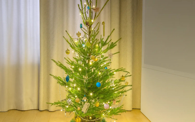 Квартира Двухкомнатная