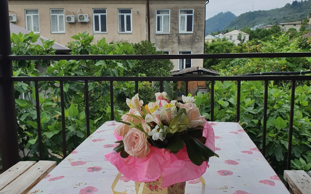 Abaza Guest House