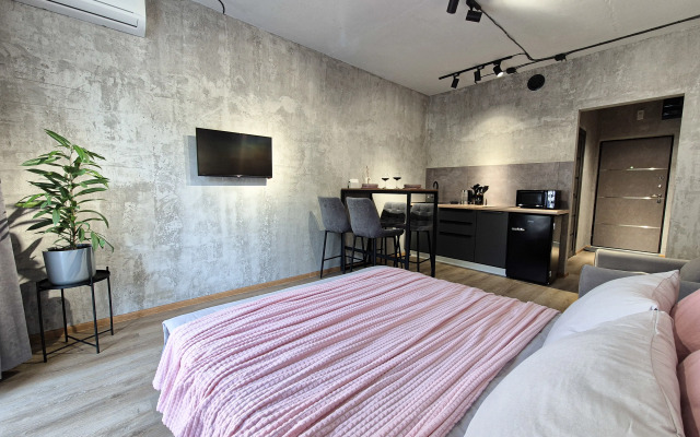 Studiya Loft Zhk Letniy Apartments